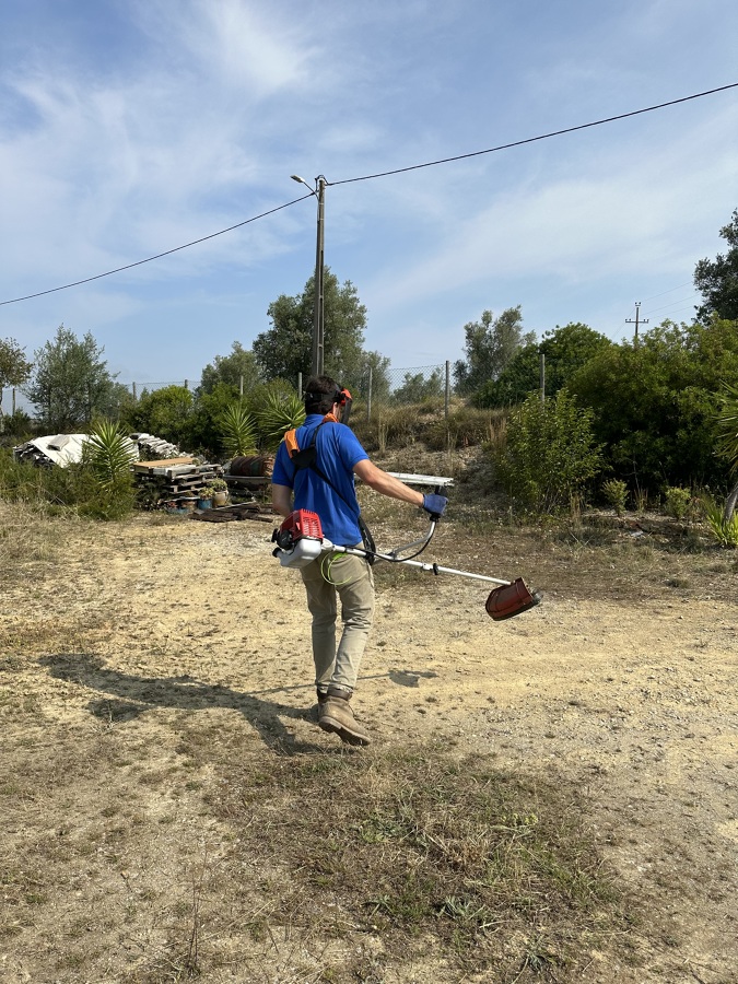 Limpeza de terreno