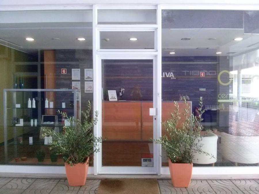 Decoração interior com plantas
