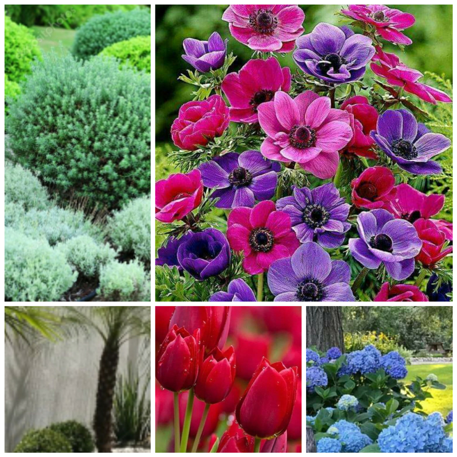 Jardins