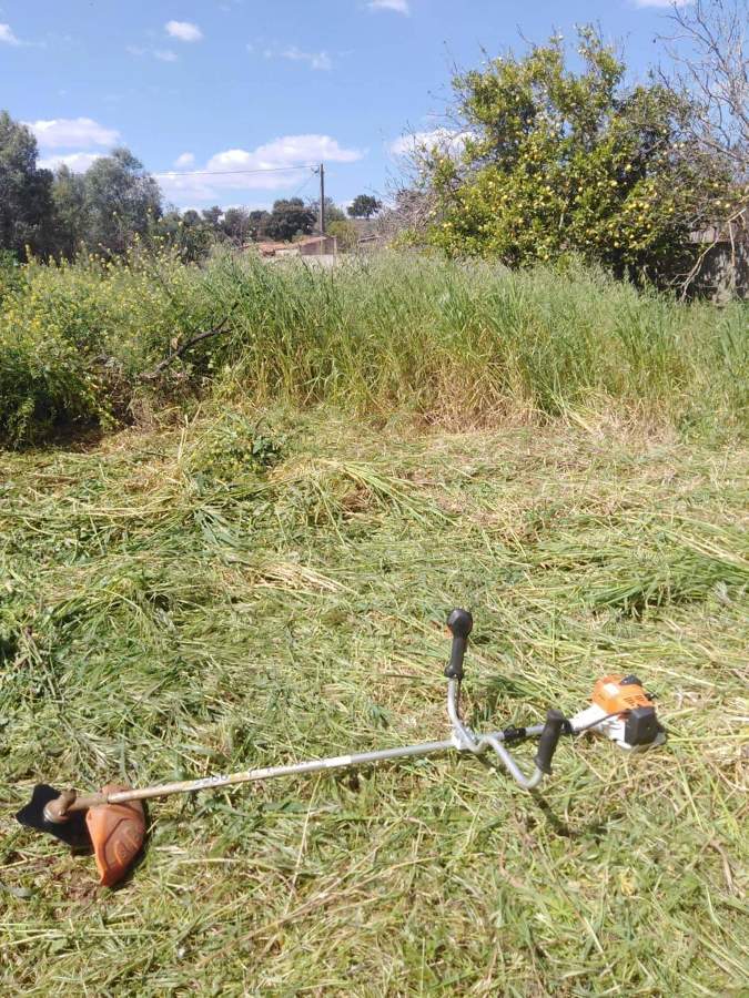 Terreno durante a limpeza