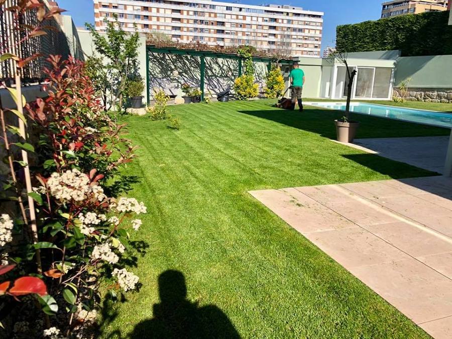 Trabalho de Jardinagem