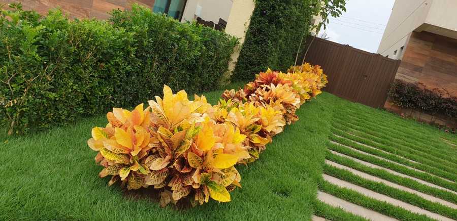 JARDIM