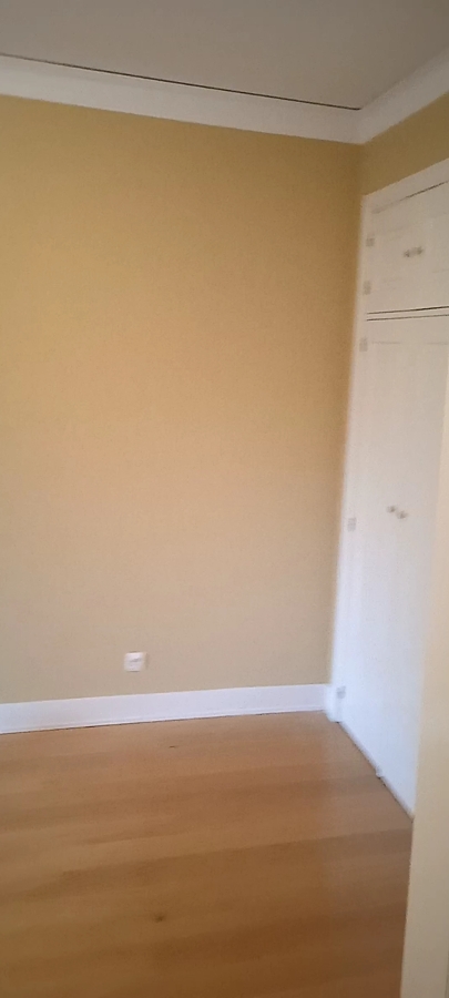 Pinturas