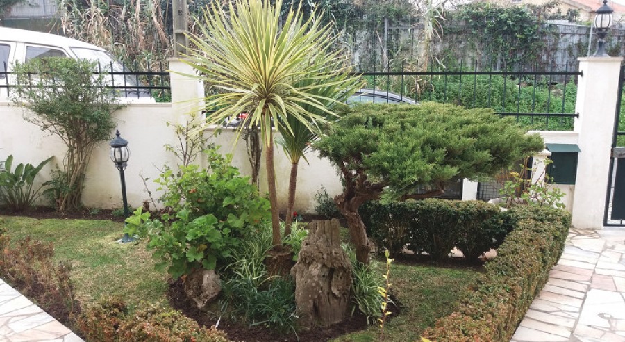 Manutenção jardim