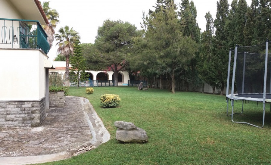 Manutenção jardim