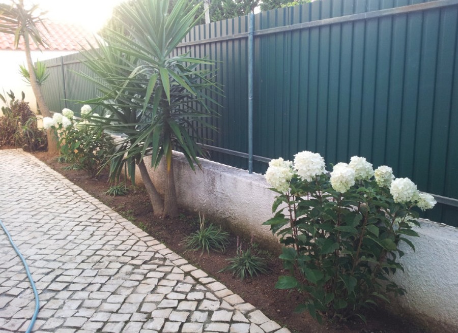 Manutenção jardim
