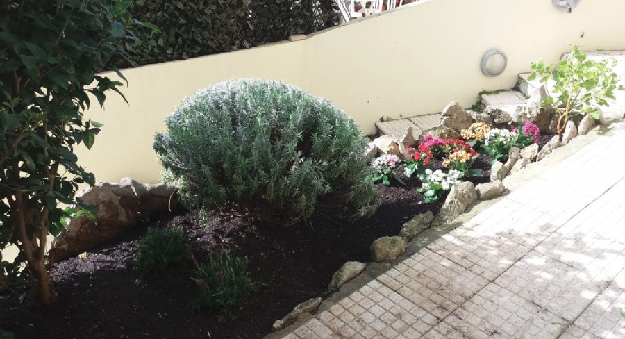 Manutenção jardim