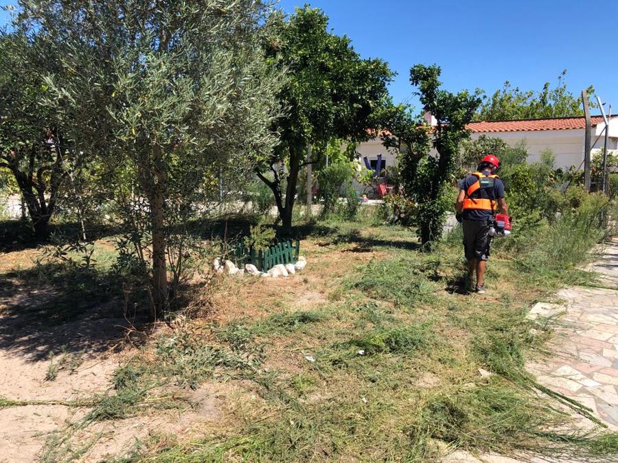 Limpeza de terreno