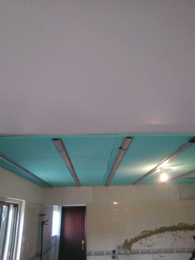 tecto