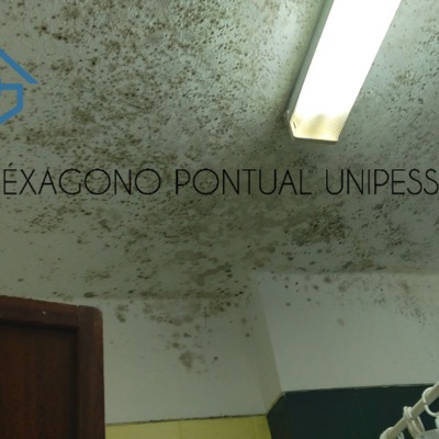 Pintura wc