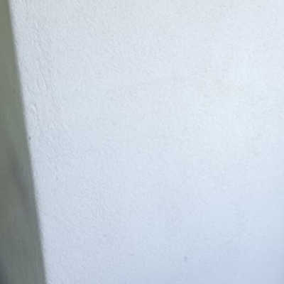 Desratização em jardim