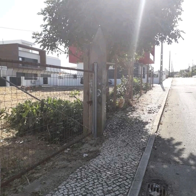 Limpeza de terreno.
