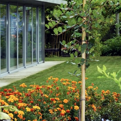 Alçado exterior - Salão Eventos