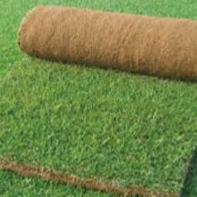 Tapete de Relva natural