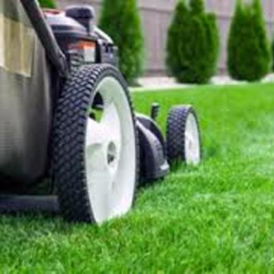 Manutenção de jardins e limpezas de terrenos