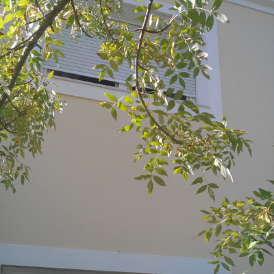 Pintura Exterior