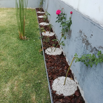 Criação de canteiro