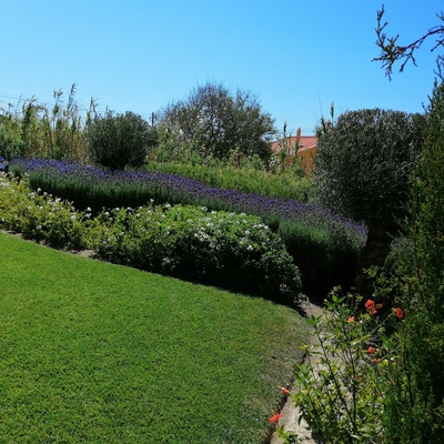 Manutenção de jardim.