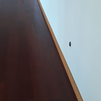 Excelente acabamento das nossas pinturas.