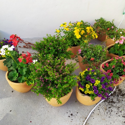 Floreiras e jardineiras