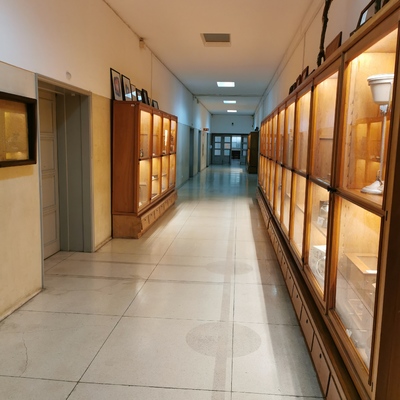 Exposição de Museu na FMUC