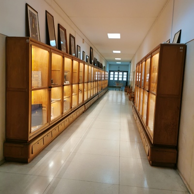 Exposição de Museu na FMUC