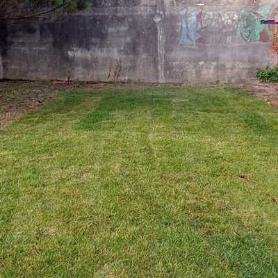 Manutenção de jardim