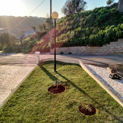 Corte de Relva e Plantação