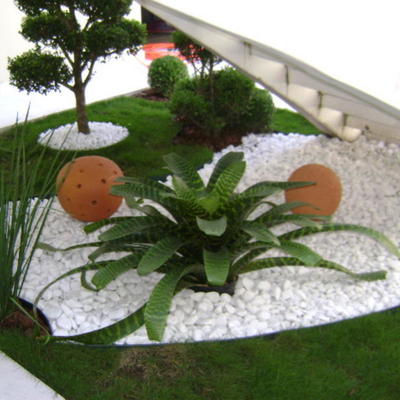 Jardim pequena manutenção