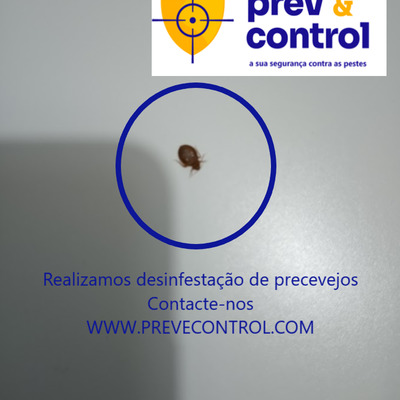 Desinfestação de Percevejo