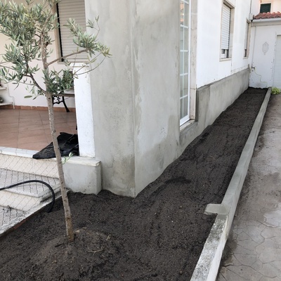 Colocação de relva