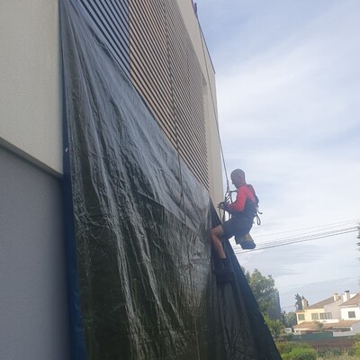 Pintura