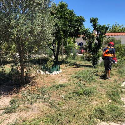 Limpeza de terreno