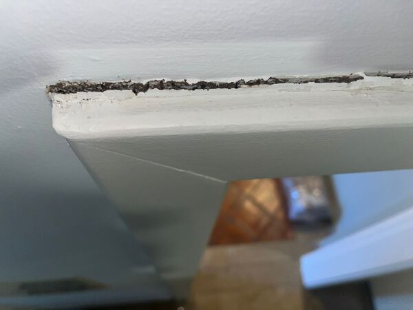 Desinfestação de Térmitas