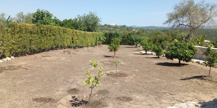 LIMPEZA E PLANTAÇÃO