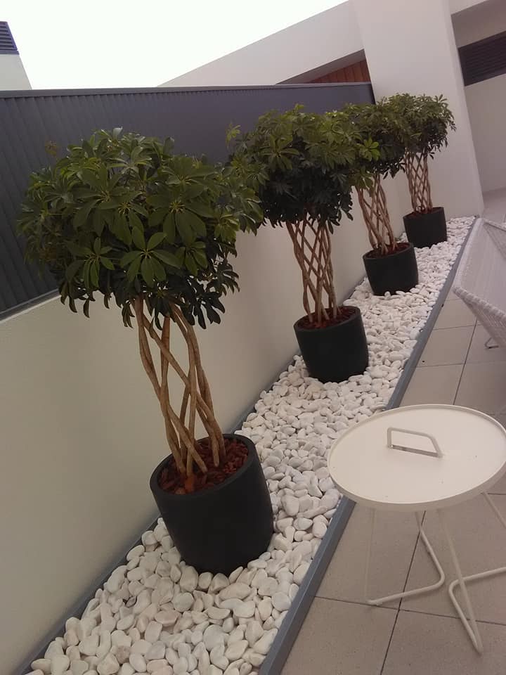 Manutenção de jardim