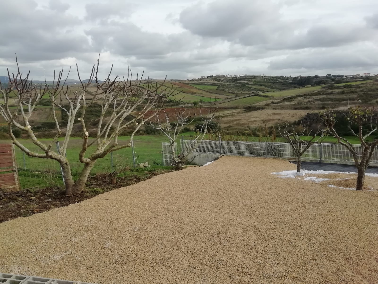 Limpeza e manutenção jardins