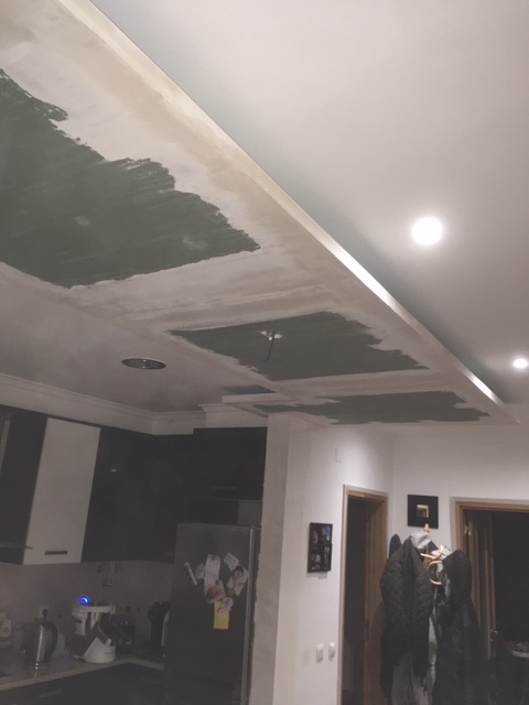 gesso cartonado