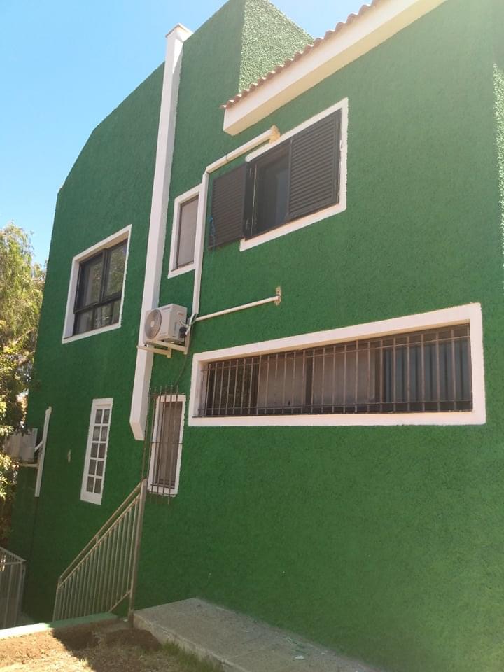 Reparo, aplicação de primer e pintura.