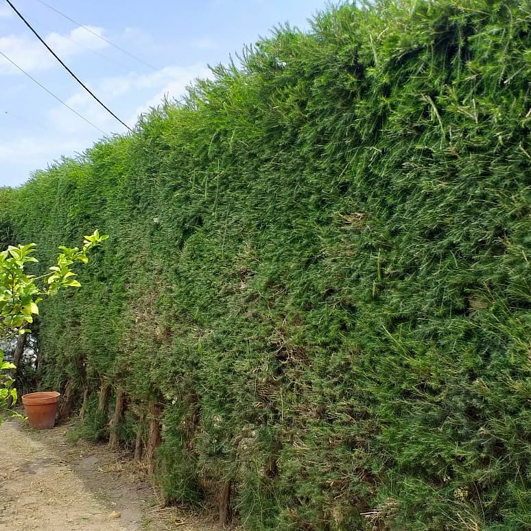 Sabado de muito trabalho