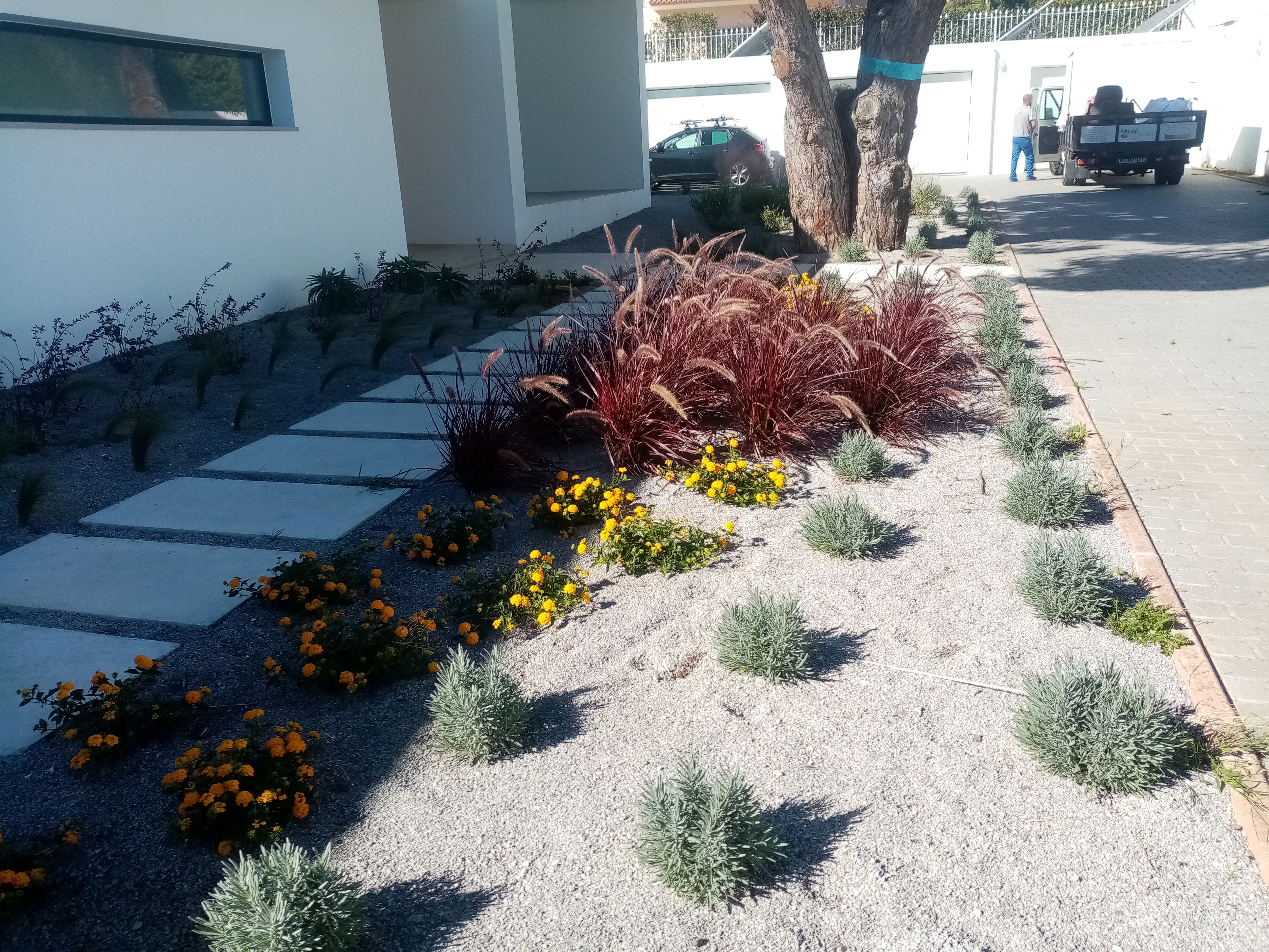 Magnifico jardim