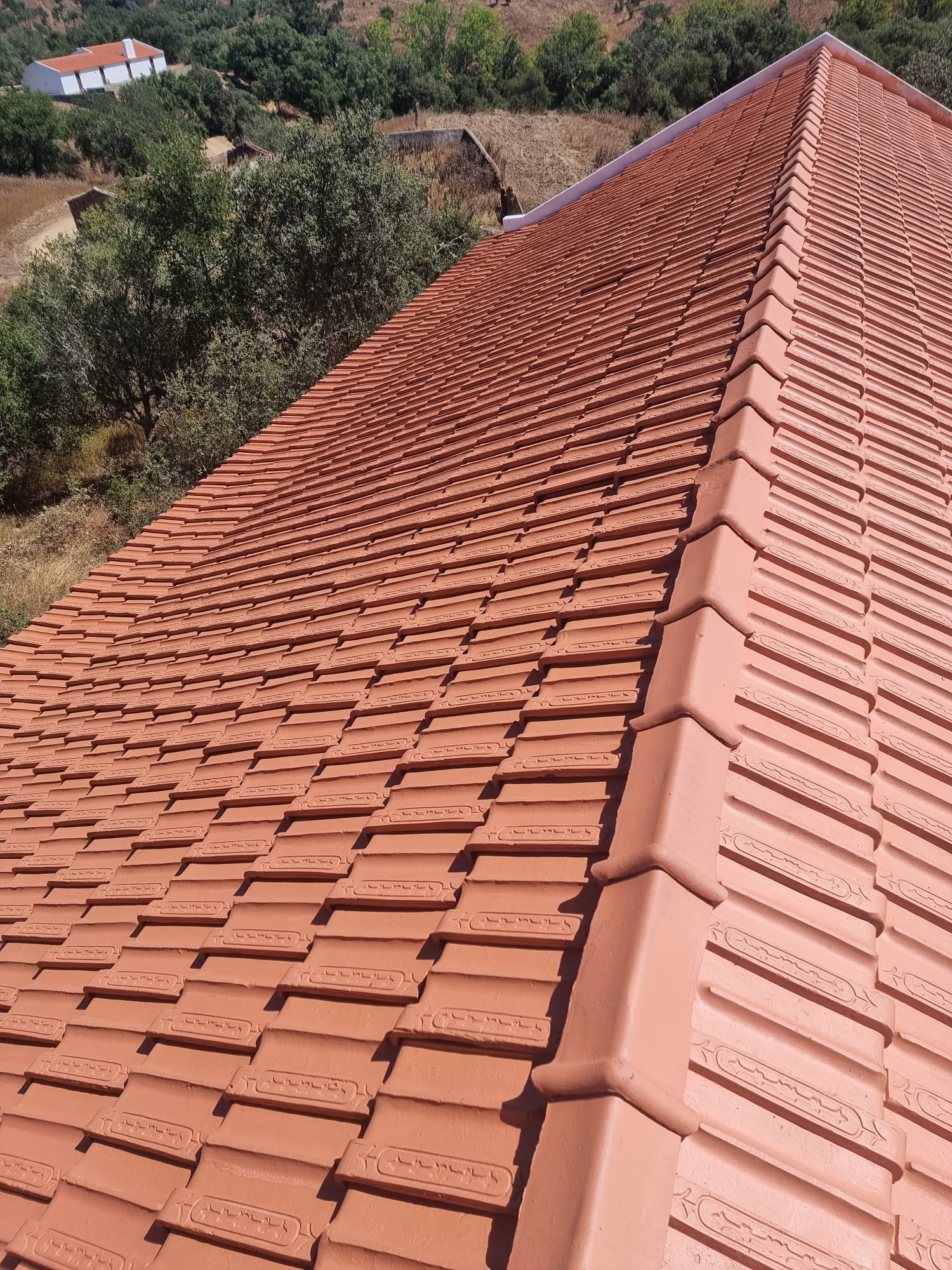 Remodelação Telhado