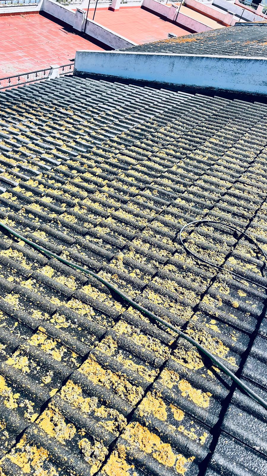 limpeza do telhado