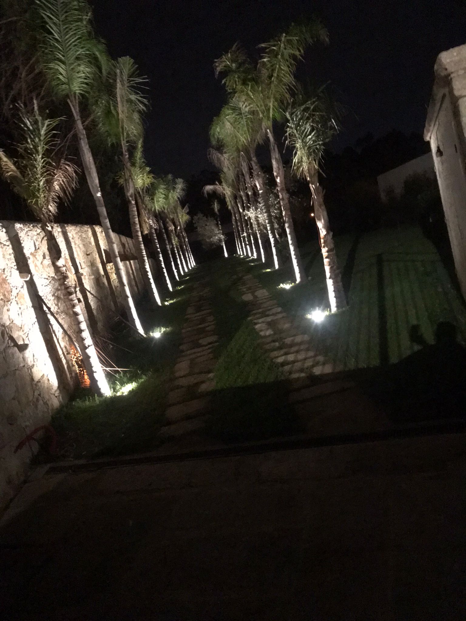 Iluminação de jardins