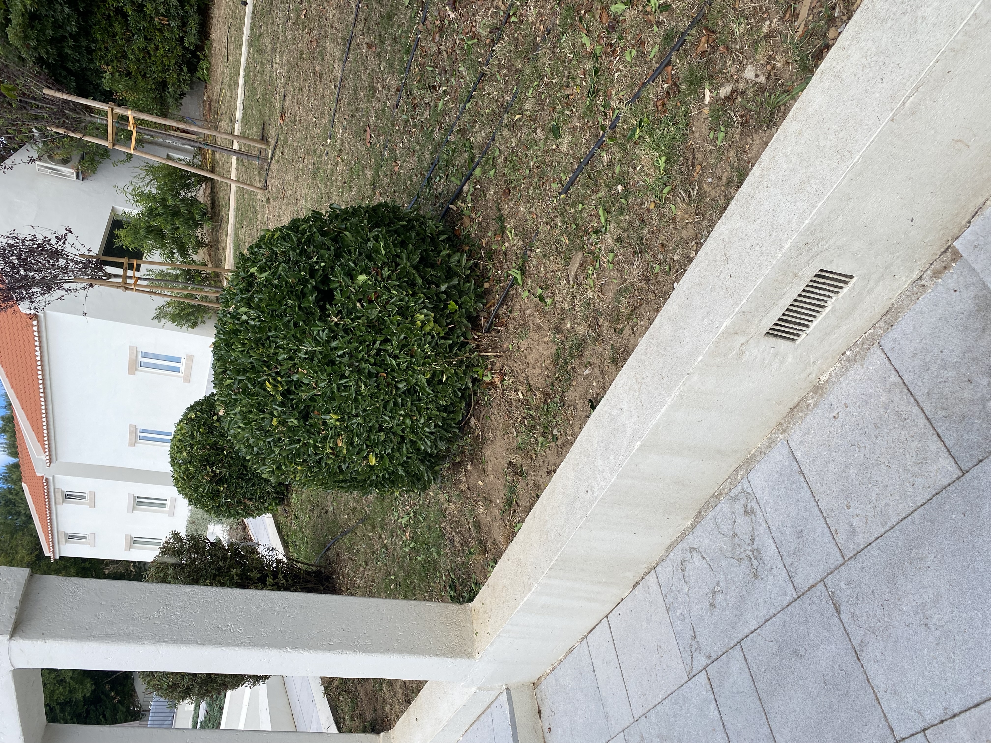 Jardinagem