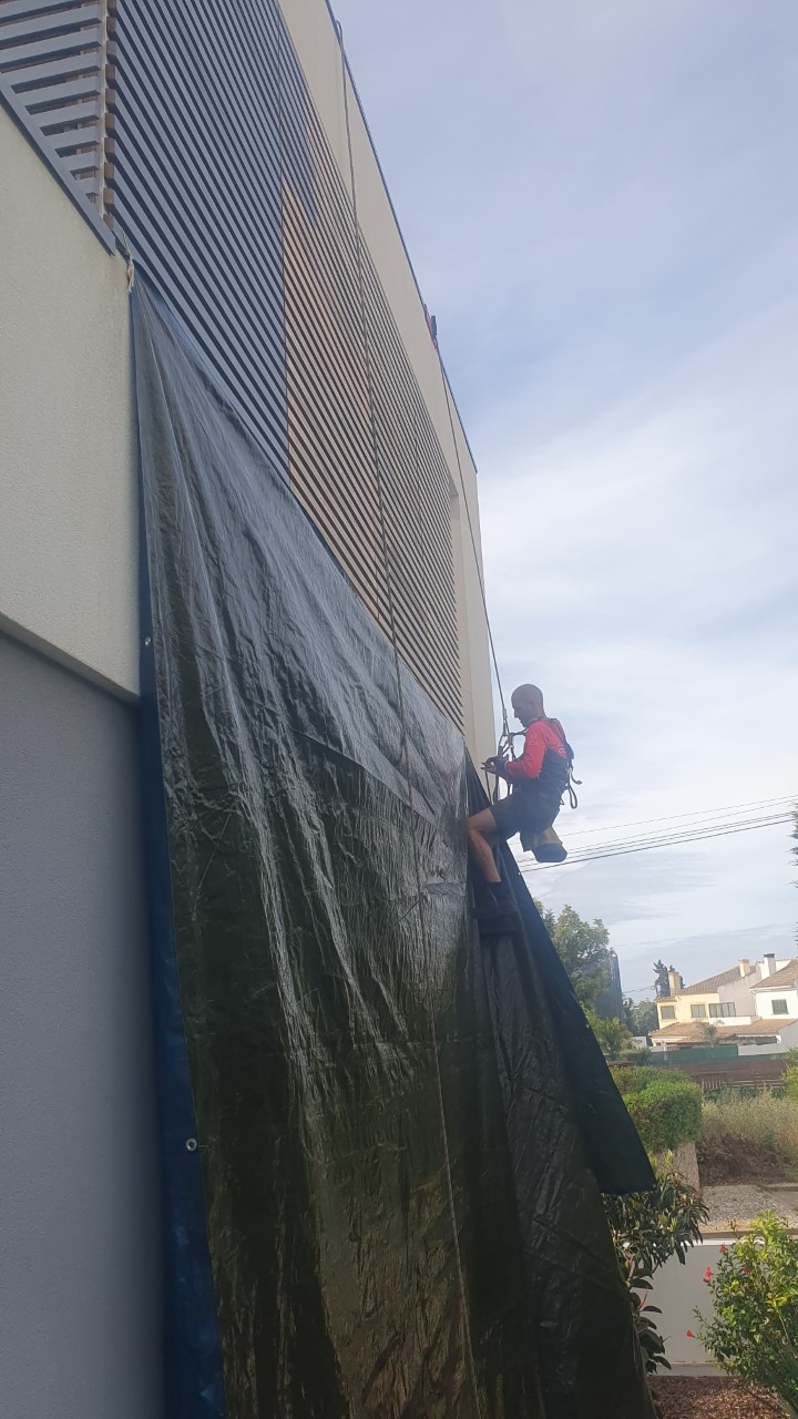 Pintura