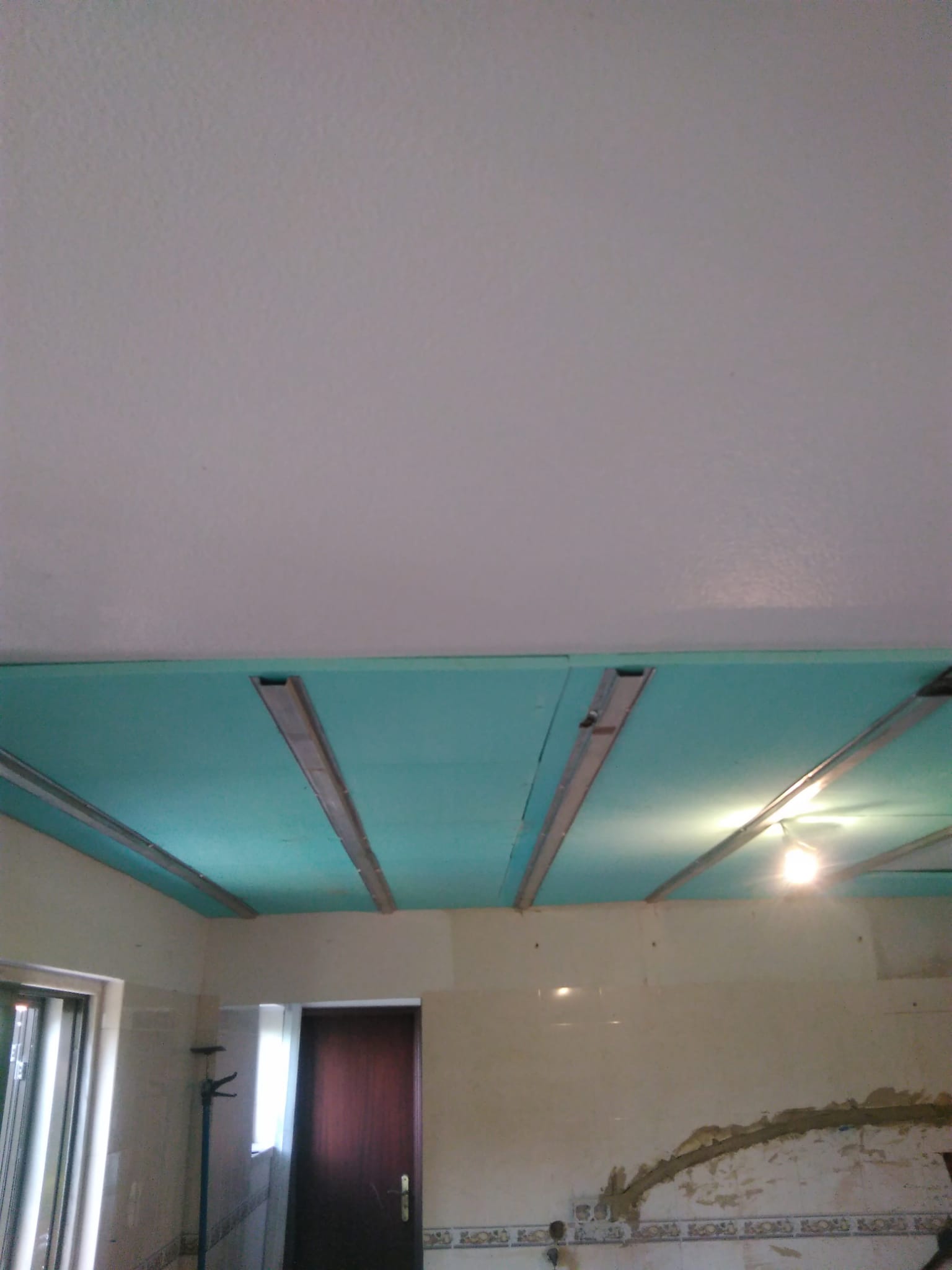 tecto