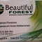 Beautifulforest