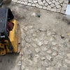 O Essencial