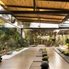 Plantação De árvore E Relva